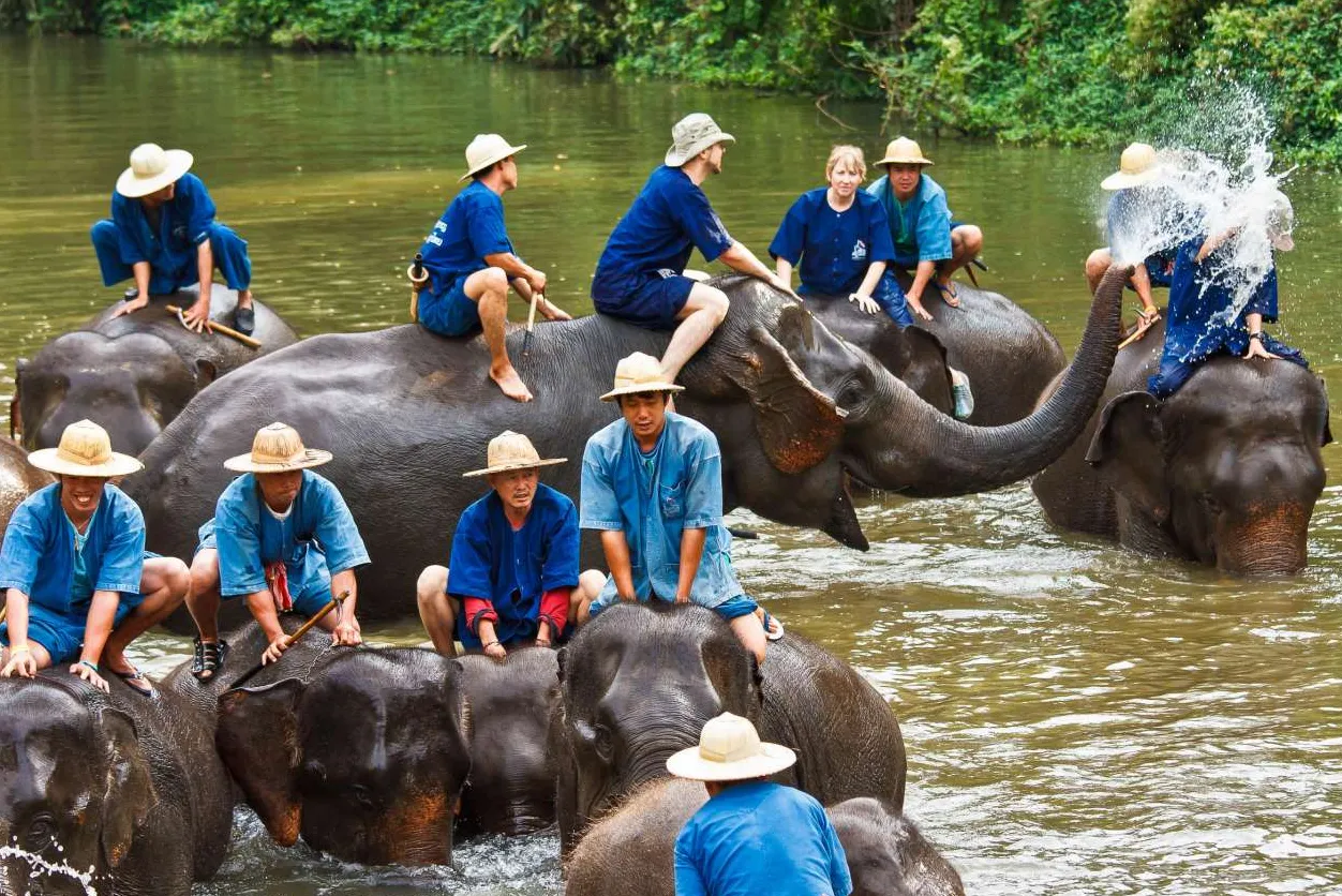 Thai Elephant Conservation Center