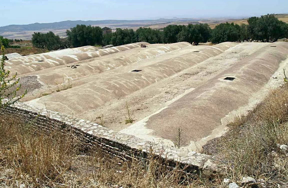 Termas Liciniana