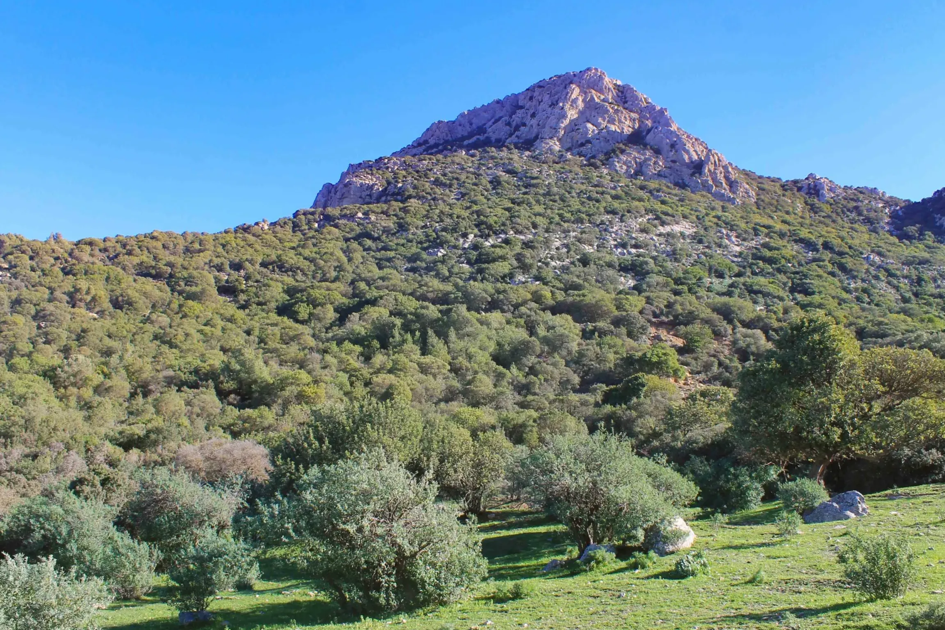 Reserva Natural Jebel Zaghouan