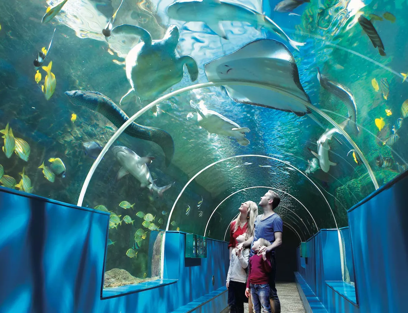 Oceanarium