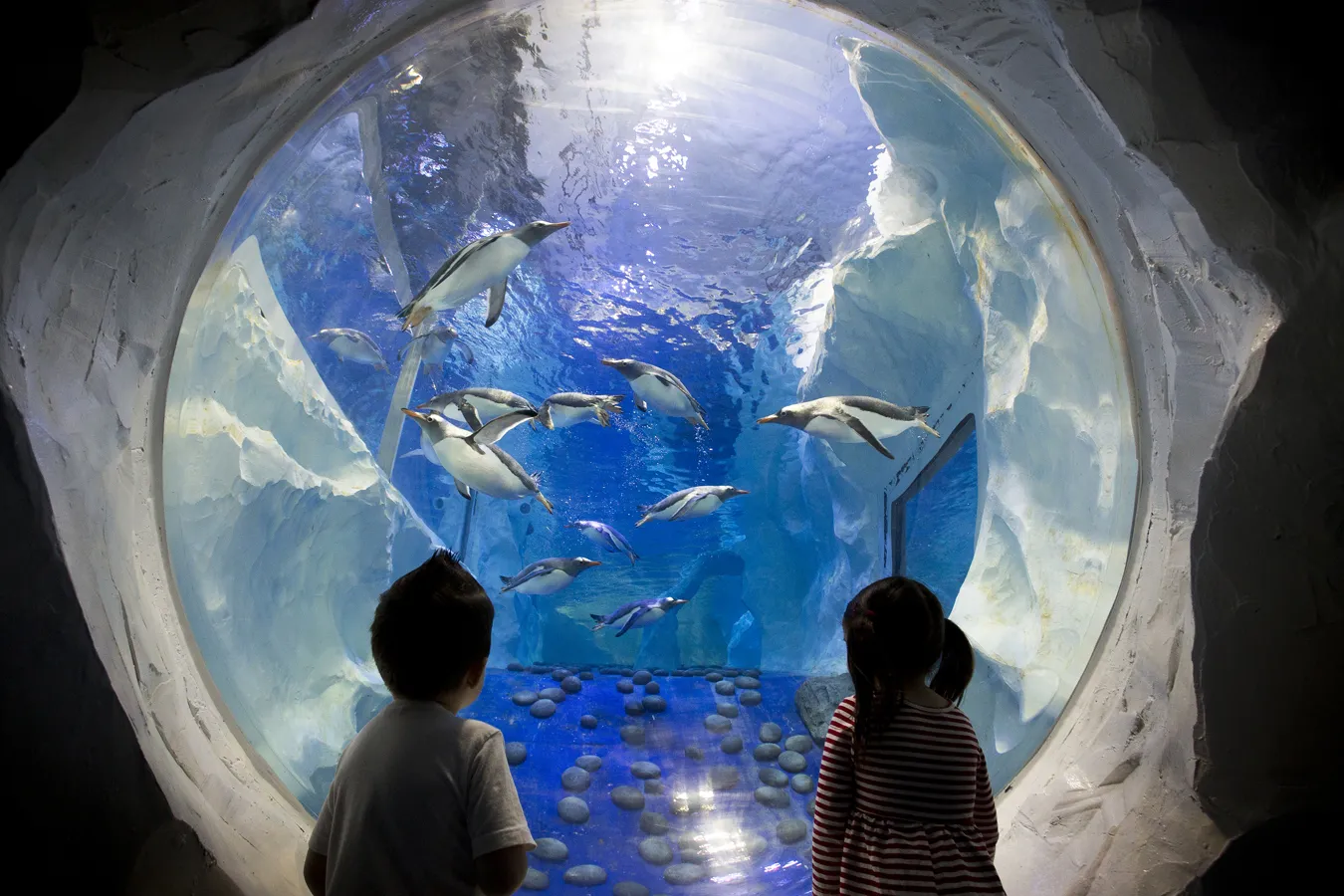 National SEA LIFE Centre