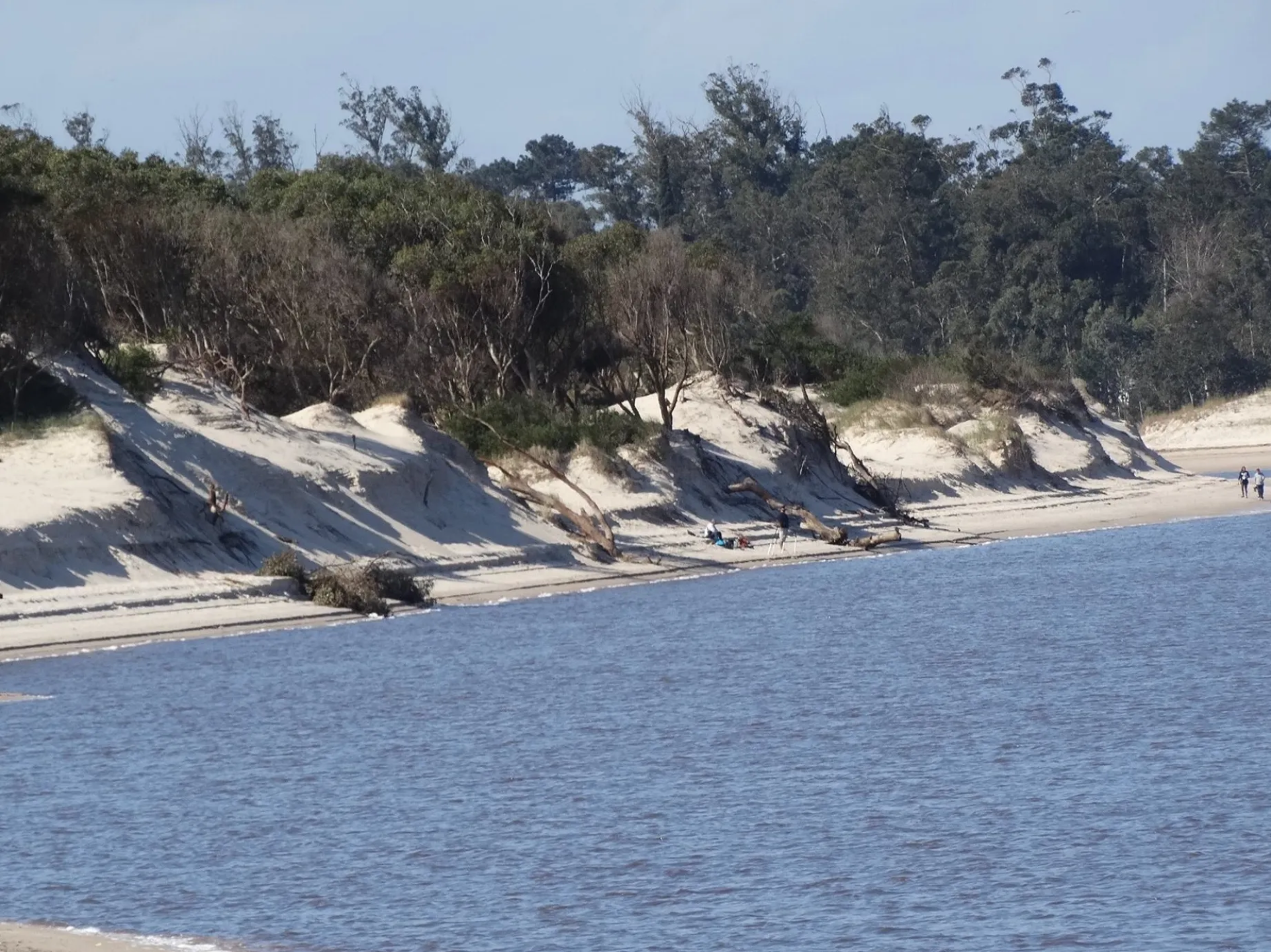 Parque del Plata