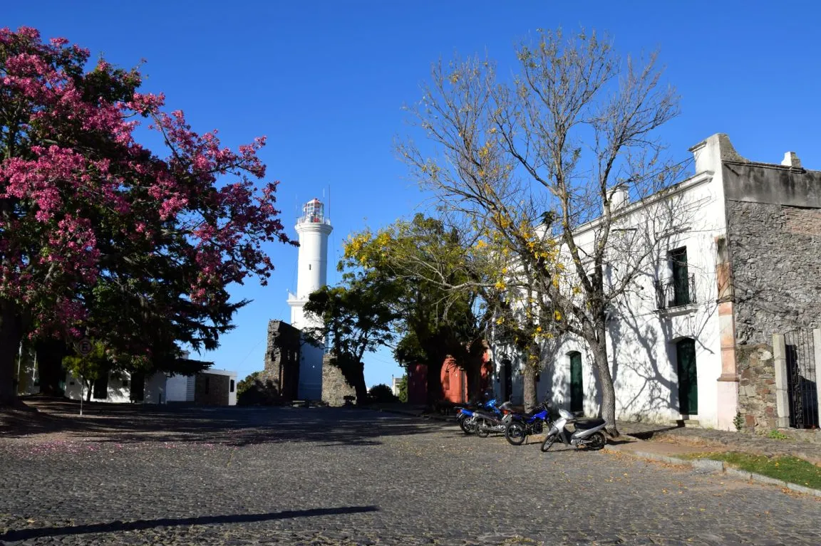 Museo Portugués