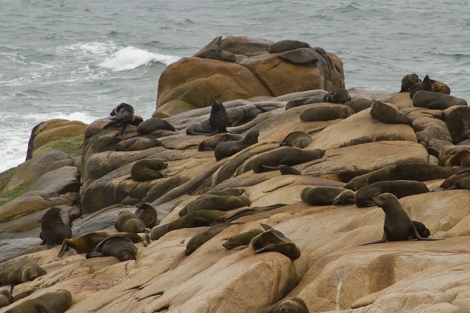 Parque Nacional Cabo Polonio