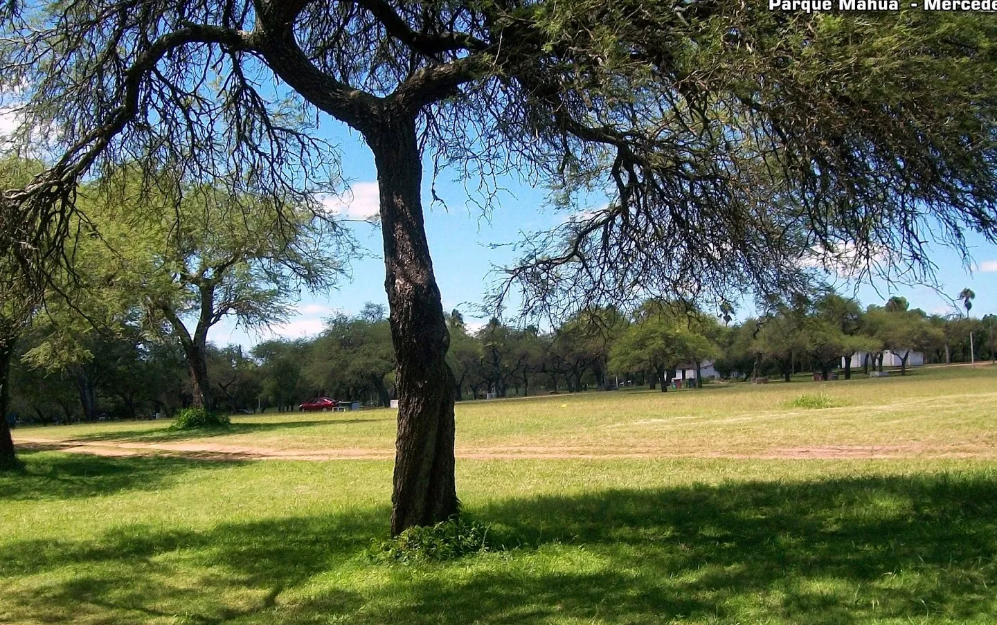 Parque Mauá