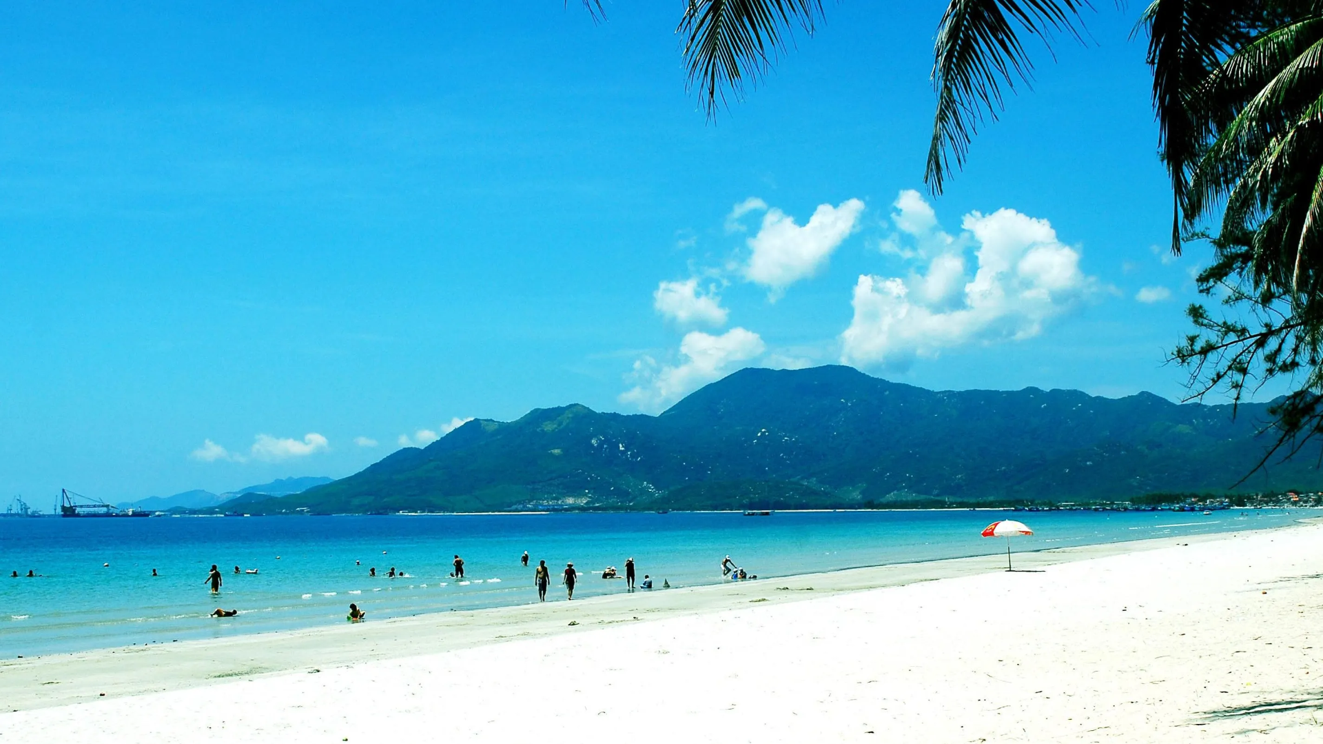 Cu Lao Cham Marine Park