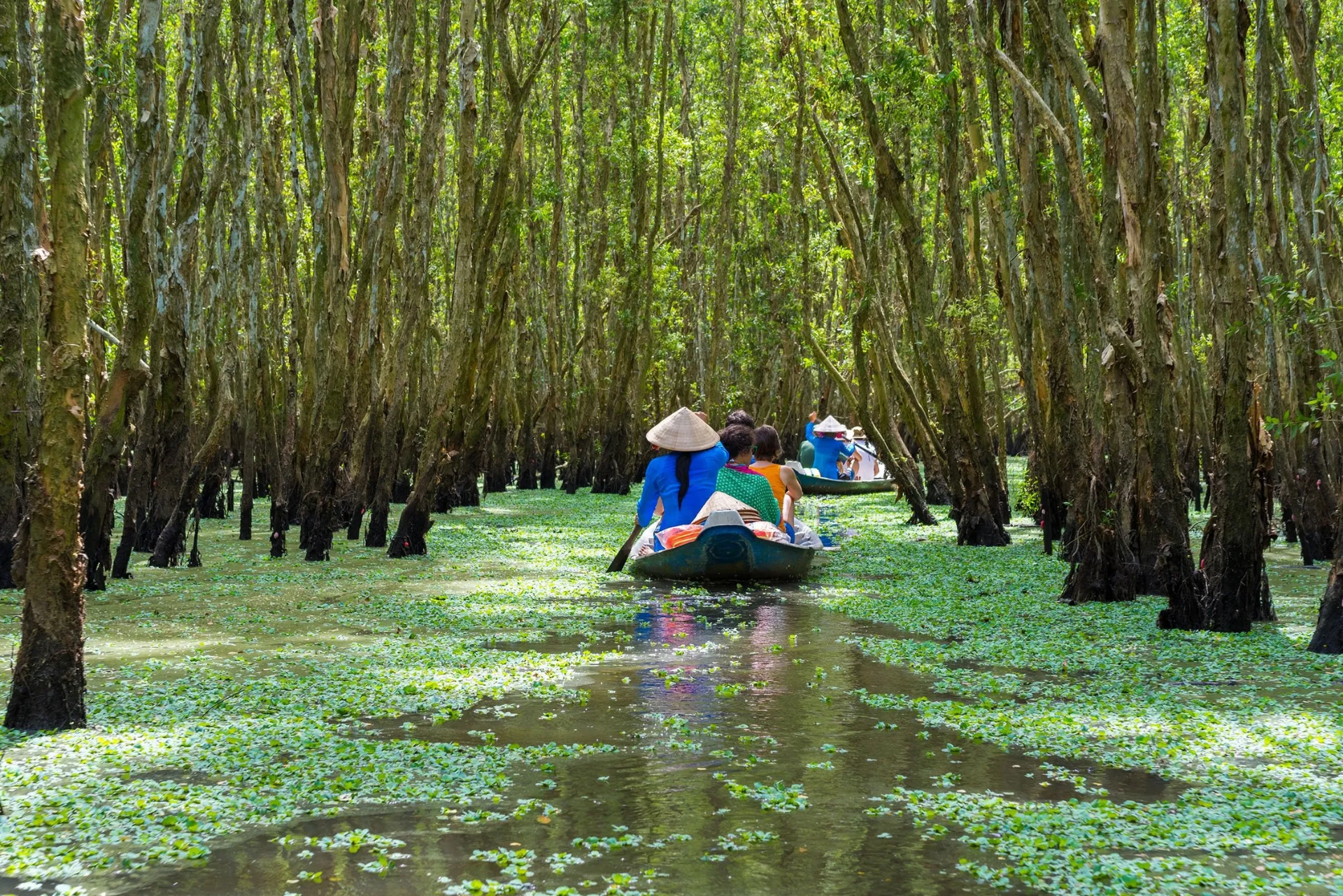 Parque Nacional de U Minh Ha