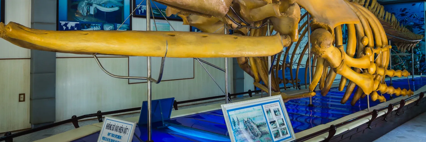 National Oceanographic Museum of Vietnam