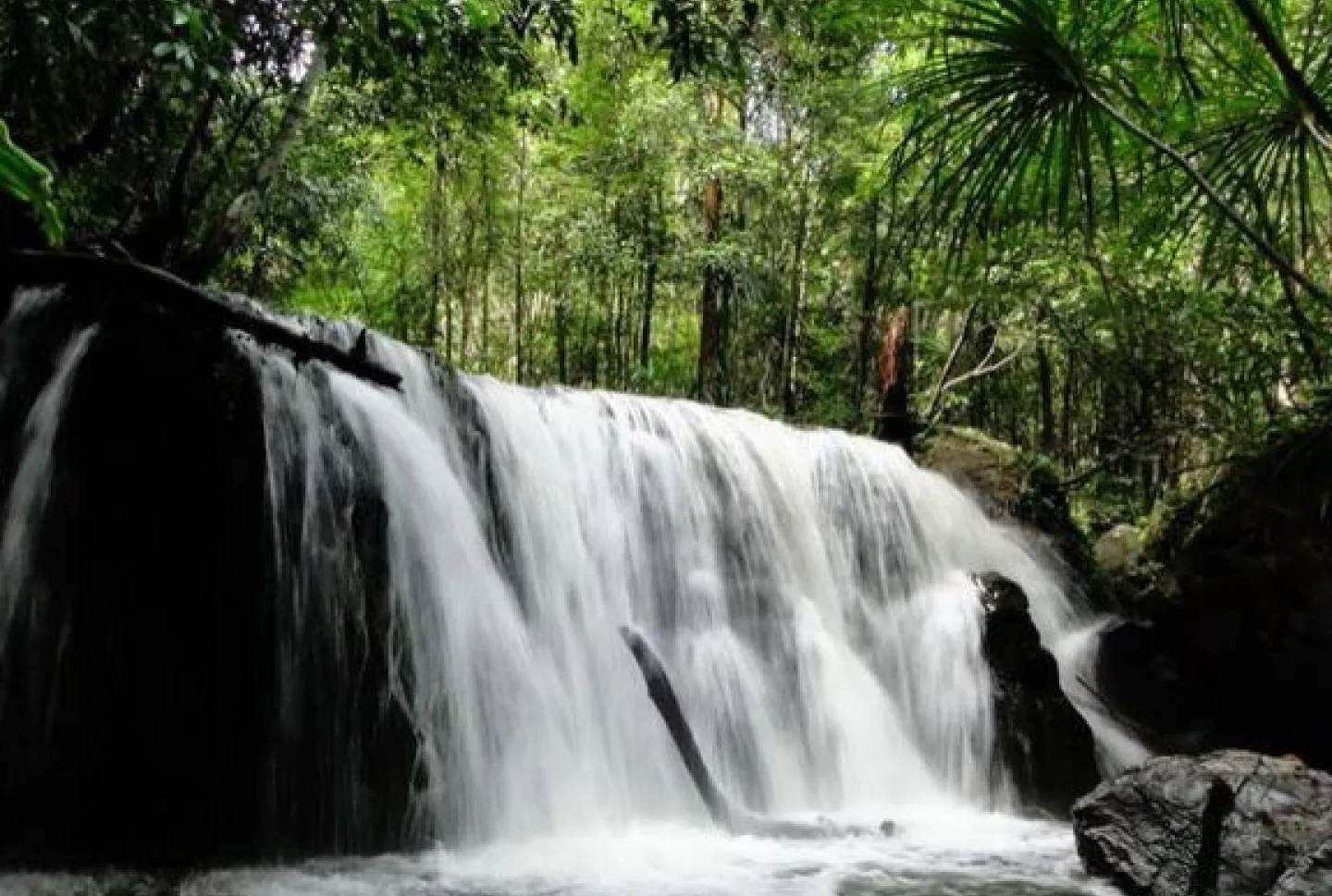 Cascada Suoi Tranh