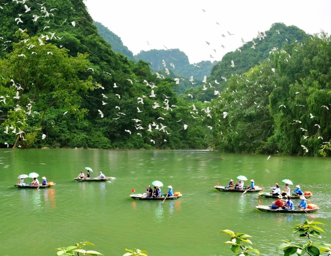 Thung Nham Bird Park