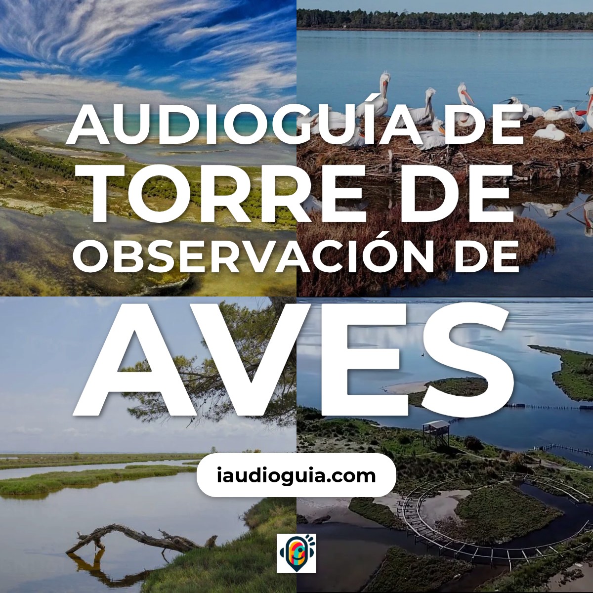 Audioguía de Torre Observacion Aves