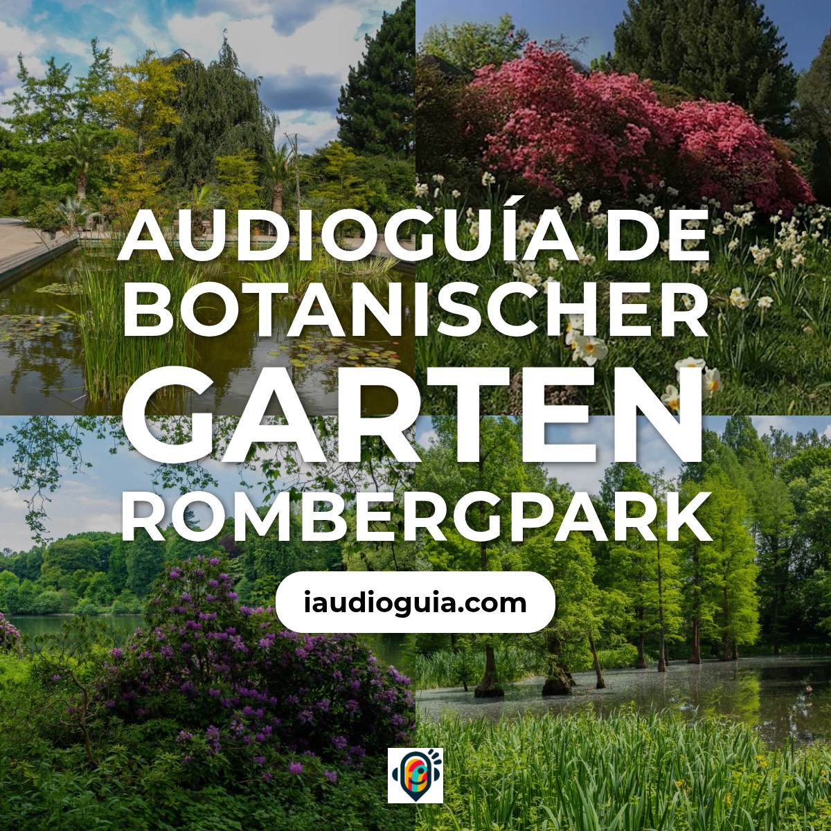 Audioguía de Botanischer Garten Rombergpark