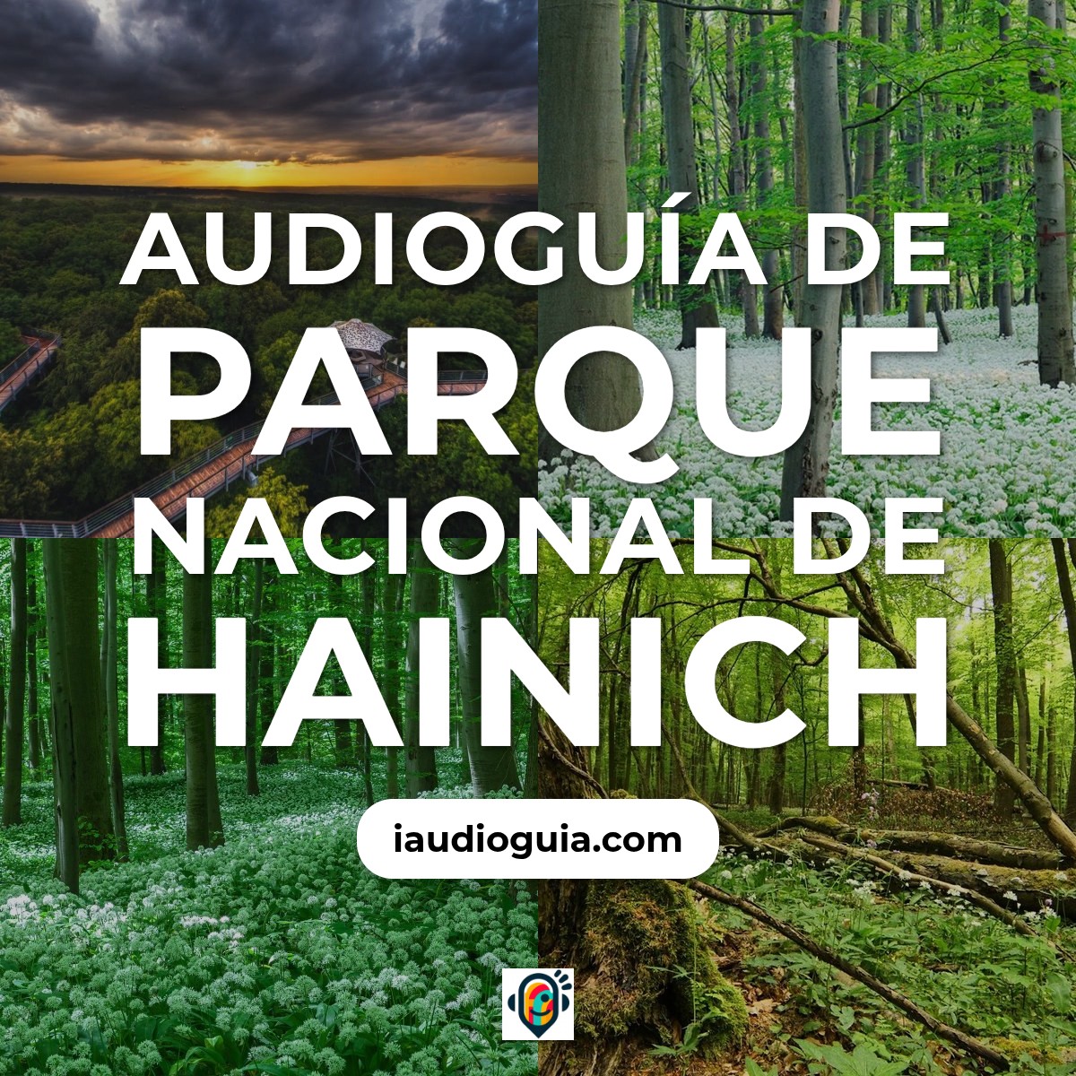 Audioguía de Parque Nacional Hainich
