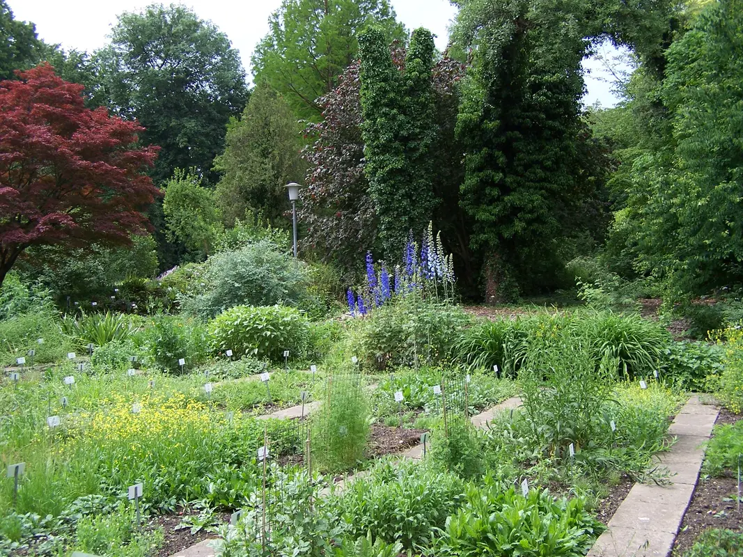 Audioguía de Jardin Botanico De La Universidad De Gotinga
