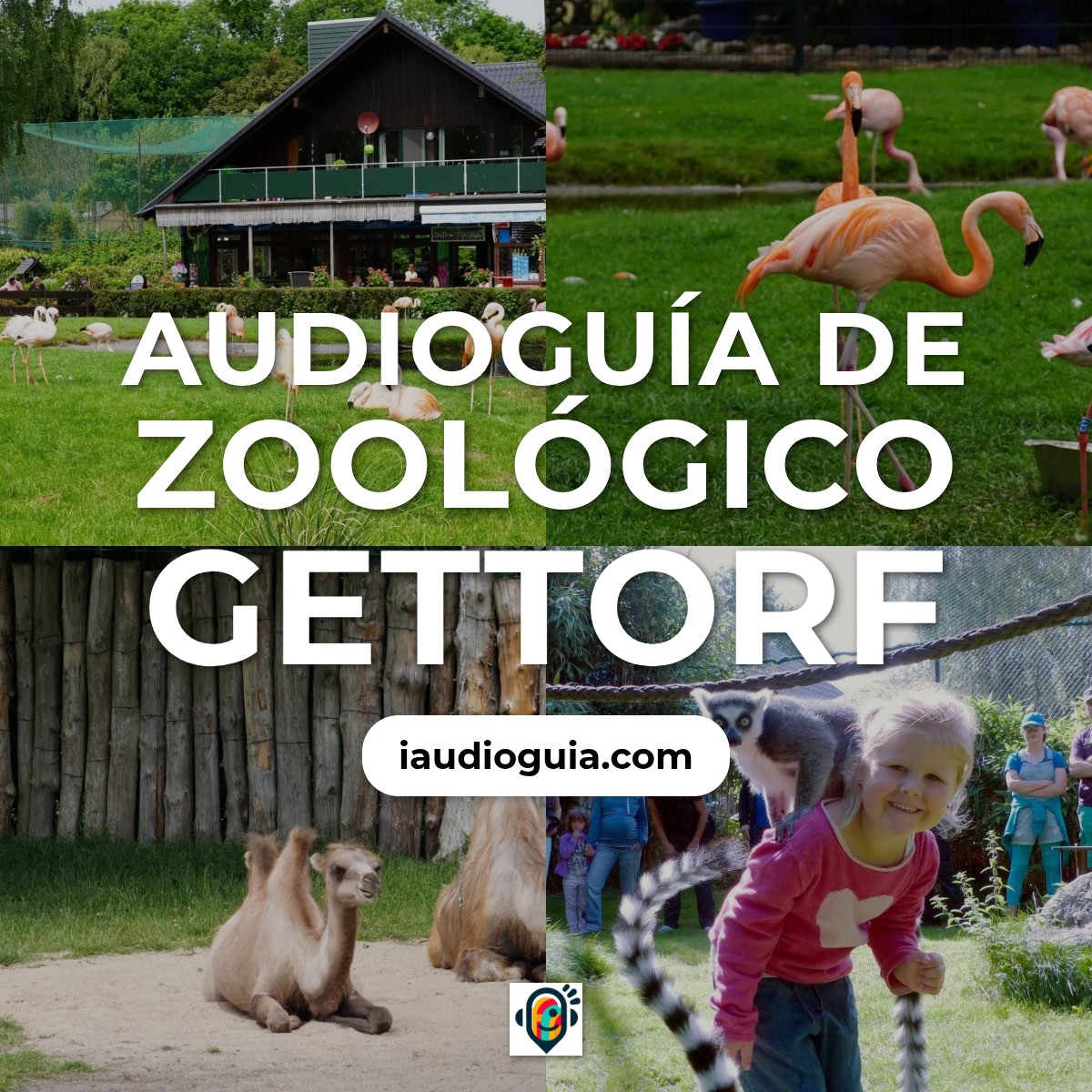Audioguía de Zoologico Gettorf