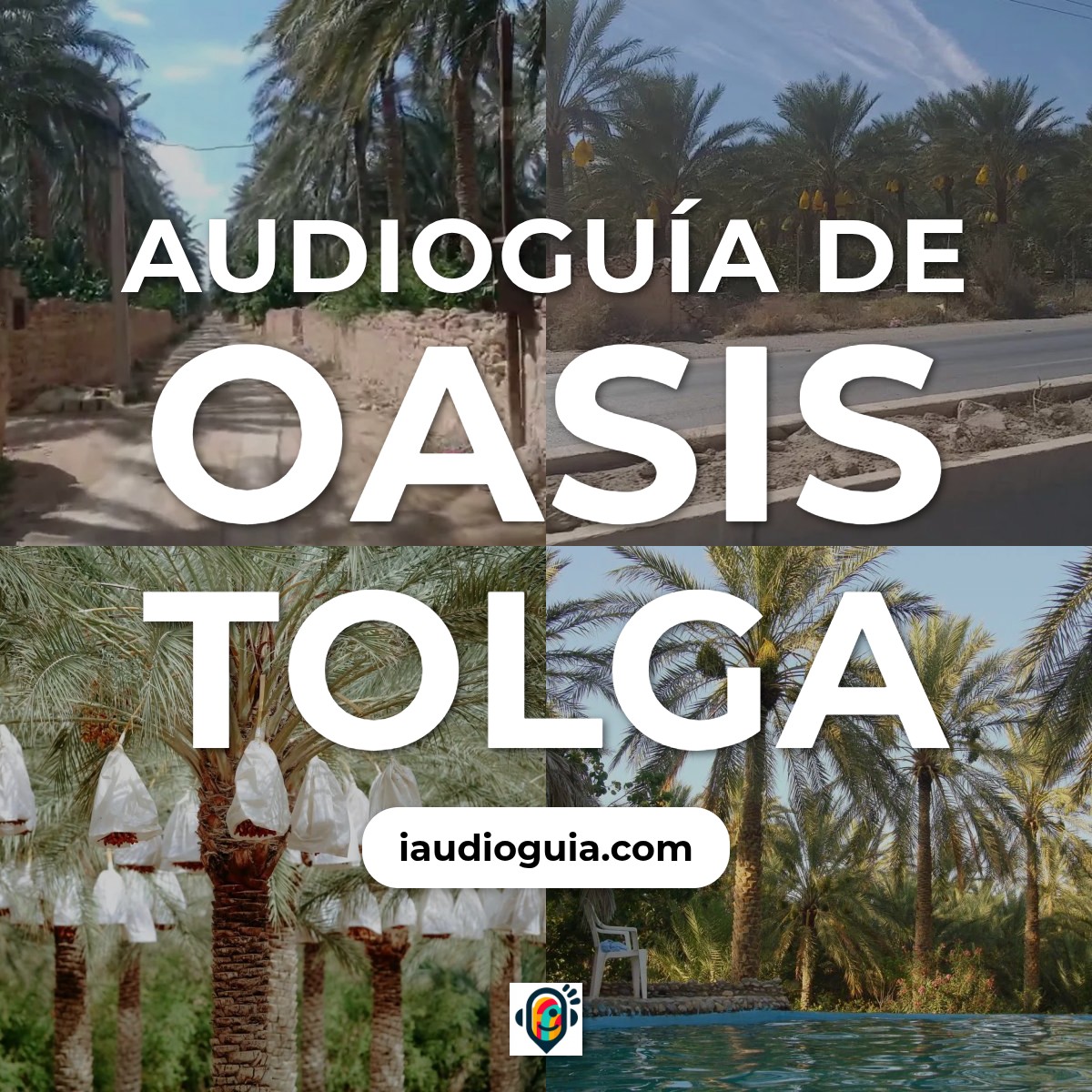 Audioguía de Oasis Tolga