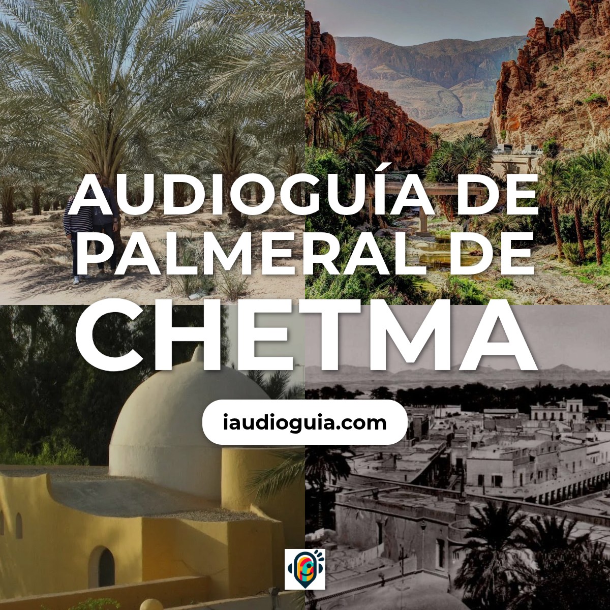 Audioguía de Palmeral Chetma