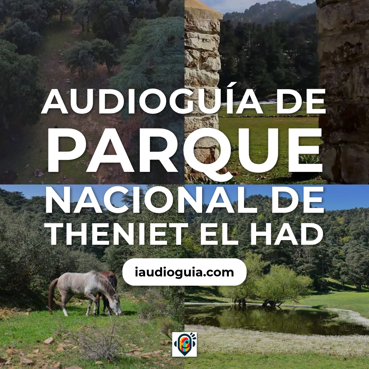 Audioguía de Parque Nacional Theniet Had