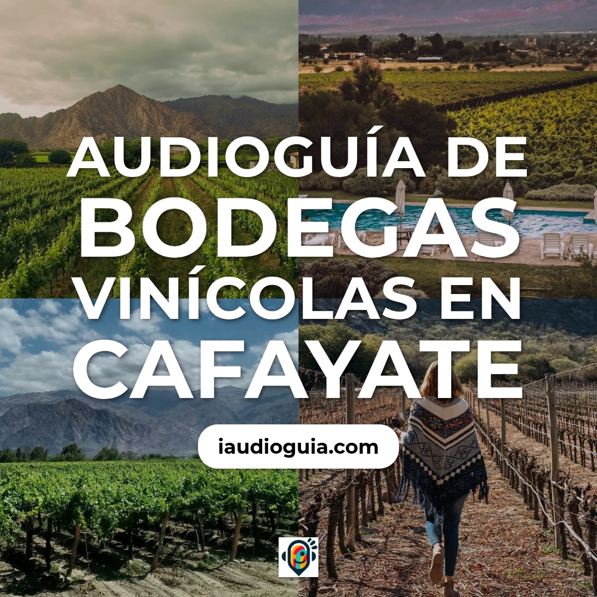Audioguía de Bodegas Vinicolas