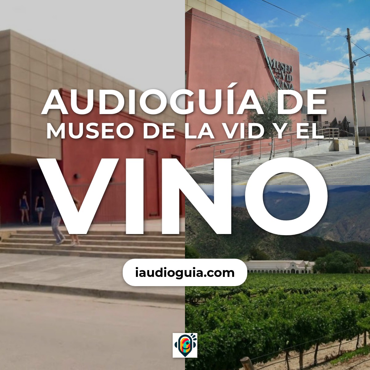 Audioguía de Museo Vid Vino