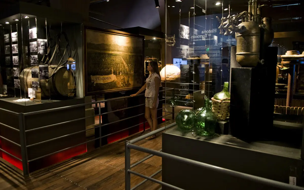 Audioguía de Museo Vid Vino