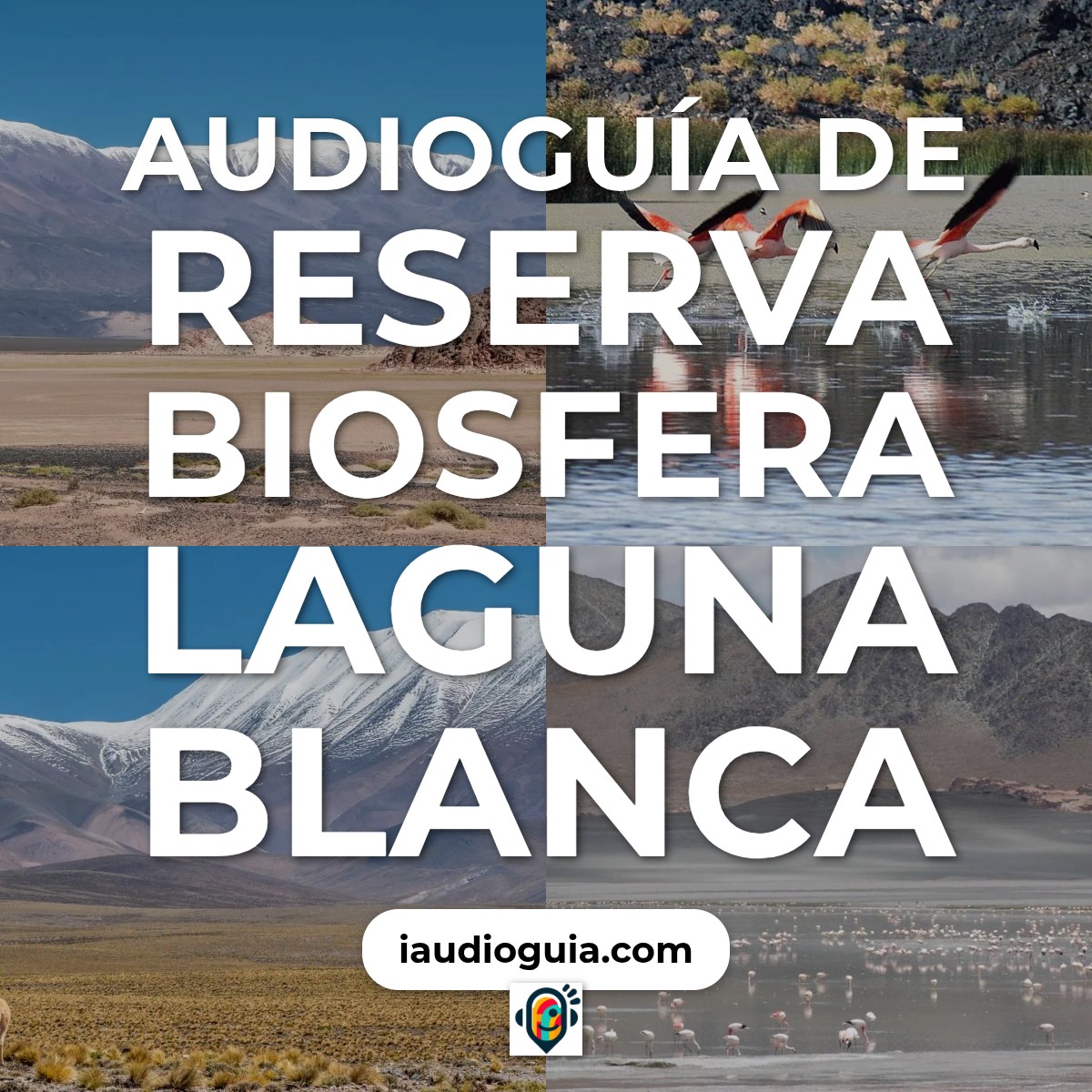 Audioguía de Reserva Biosfera Laguna Blanca