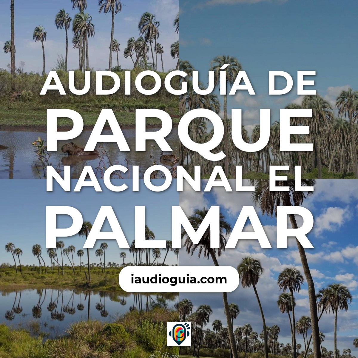 Audioguía de Parque Nacional Palmar