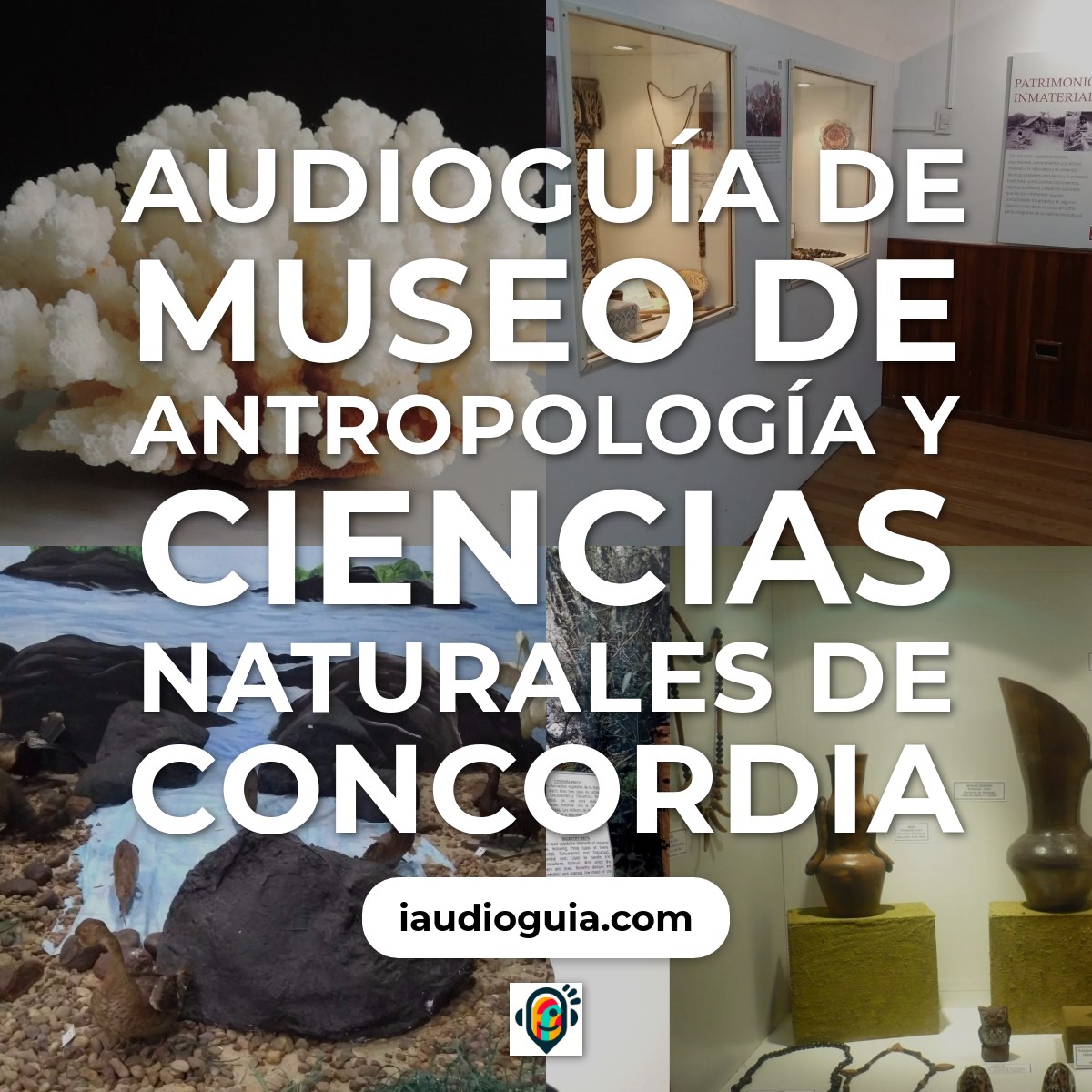 Audioguía de Museo Antropologia Ciencias Naturales