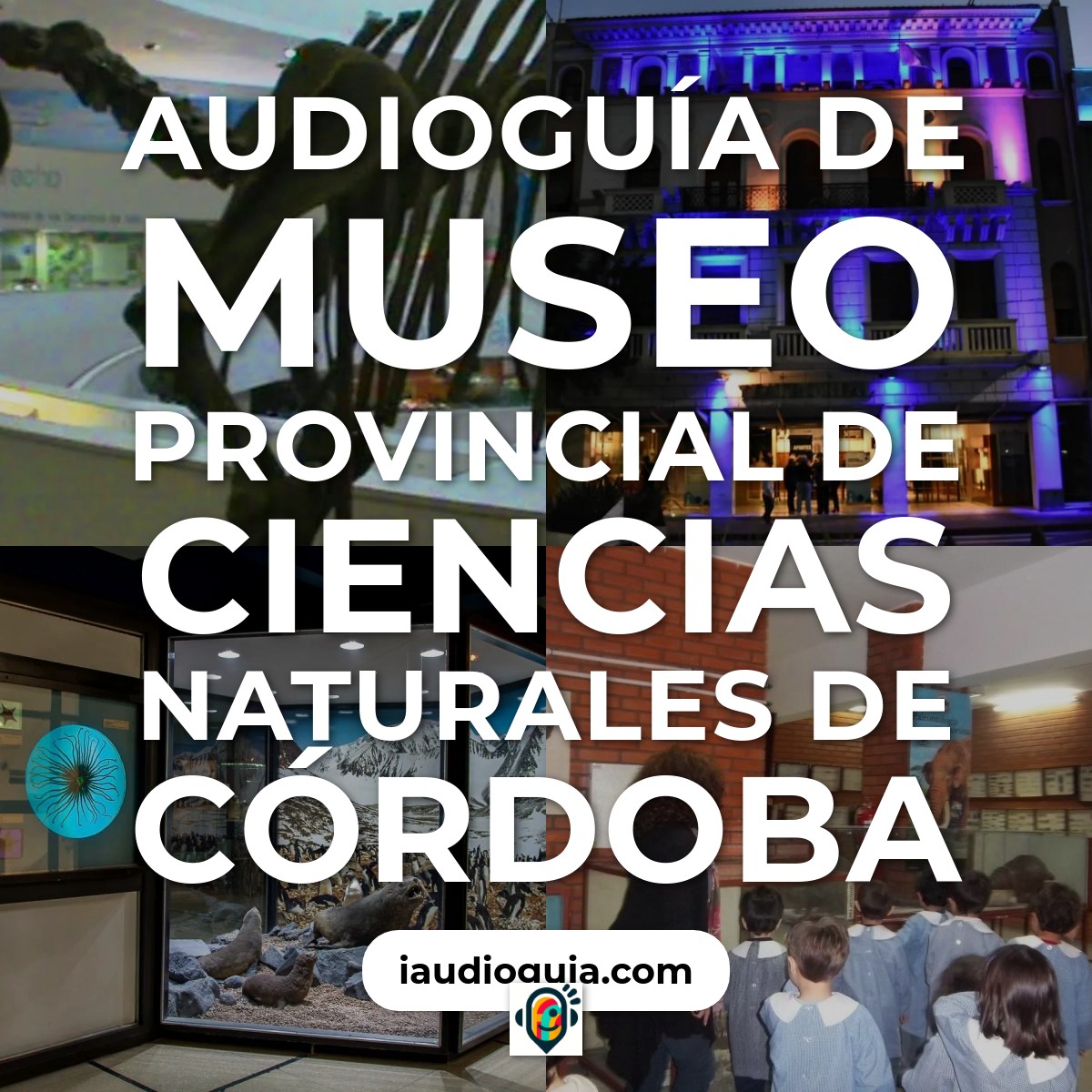 Audioguía de Museo Provincial Ciencias Naturales