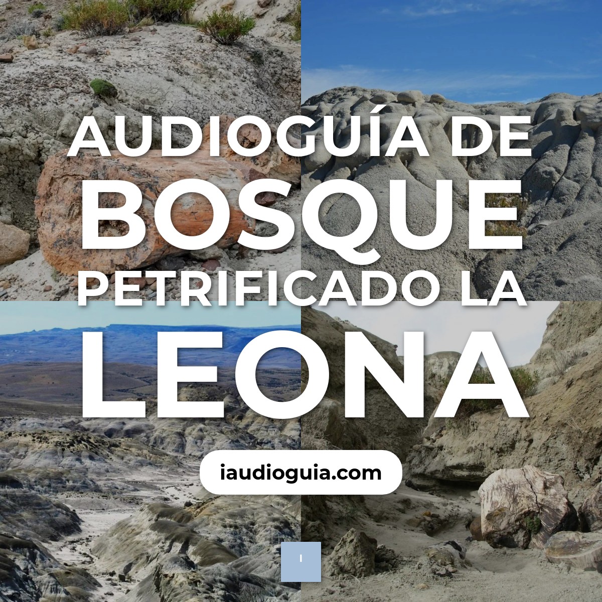 Audioguía de Bosque Petrificado Leona