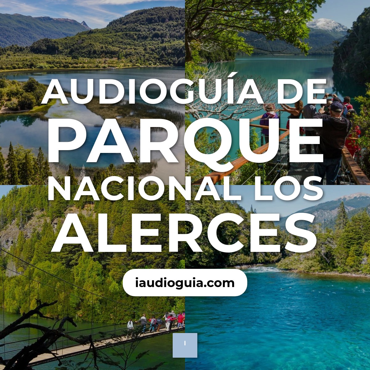 Audioguía de Parque Nacional Alerces