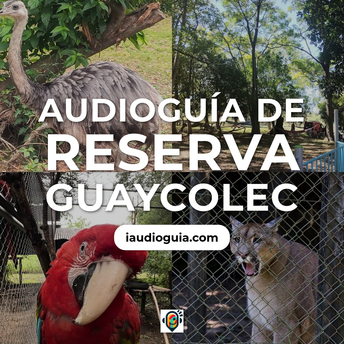 Audioguía de Reserva Guaycolec