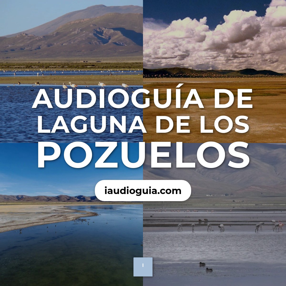 Audioguía de Laguna Pozuelos