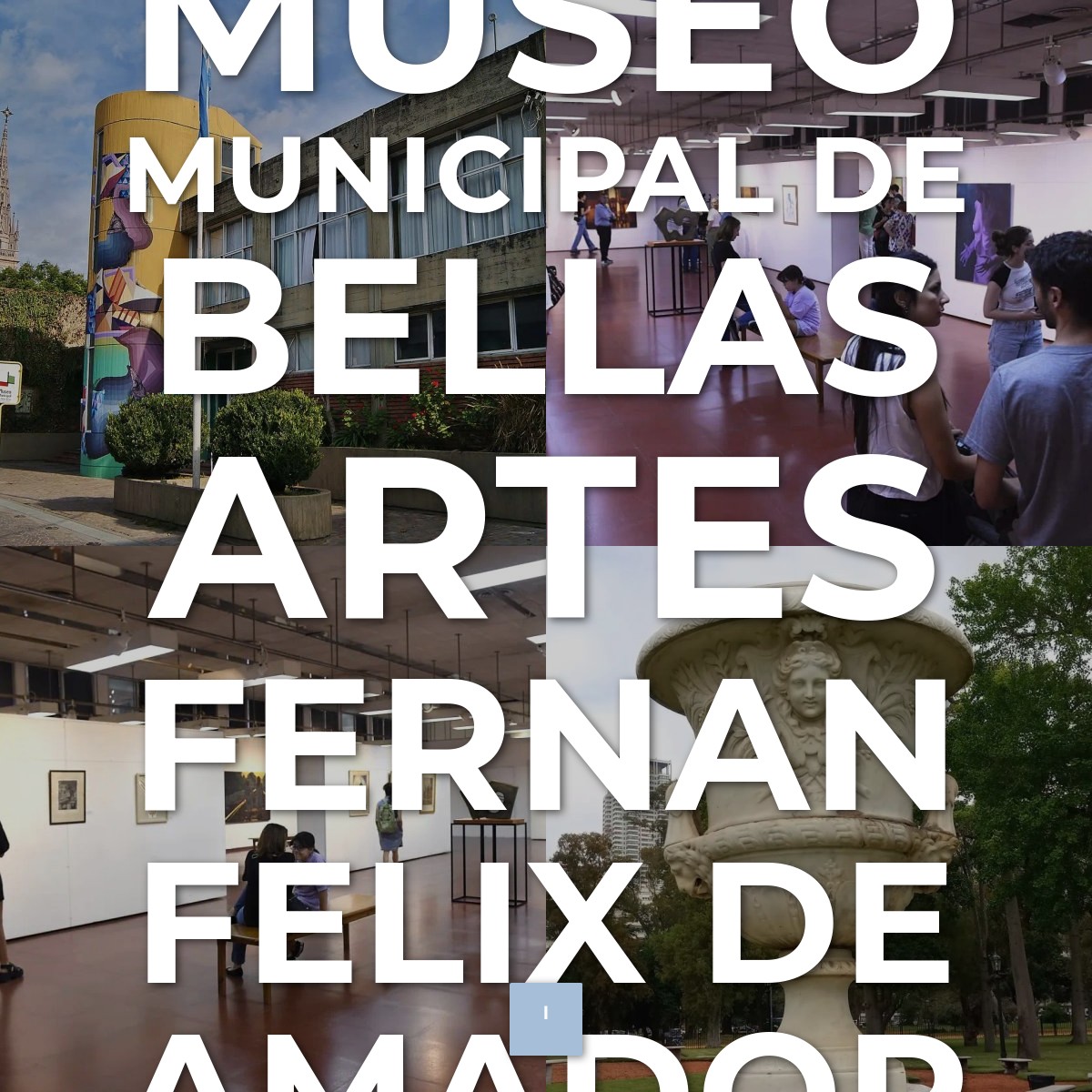 Audioguía de Museo Municipal Bellas Artes Fernan Felix Amador