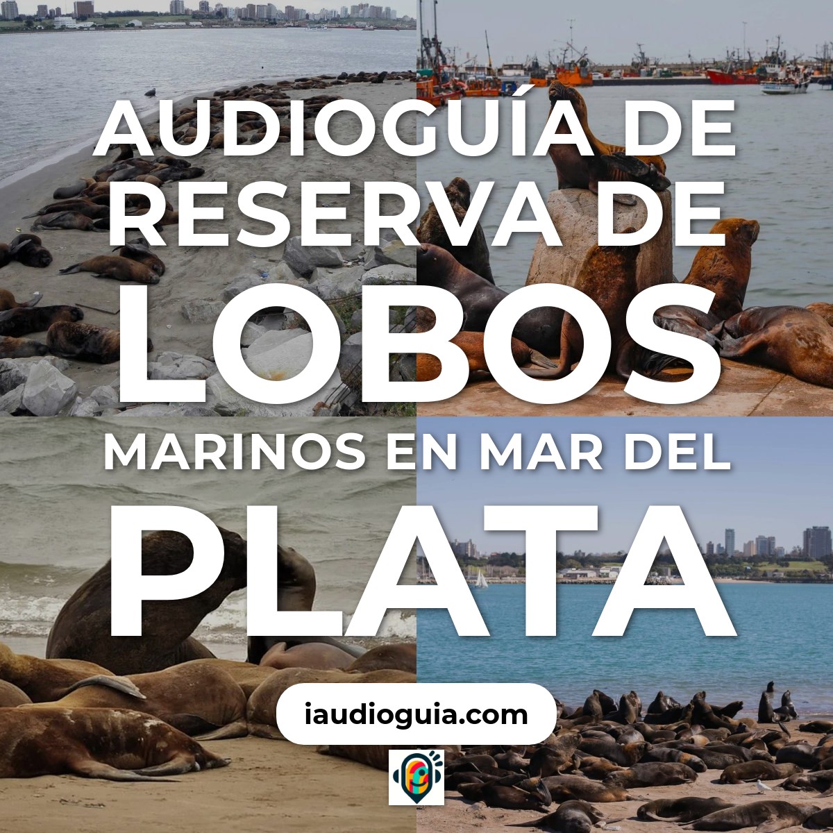 Audioguía de Reserva Lobos Marinos