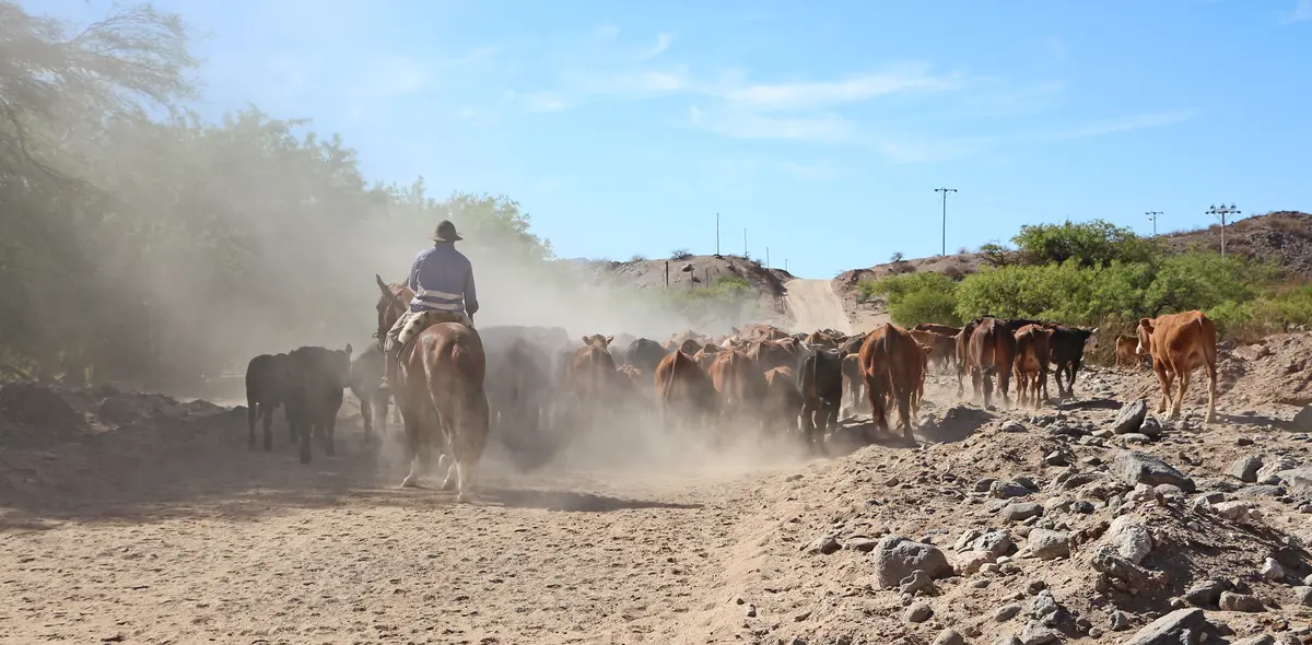 Audioguía de Catamarca