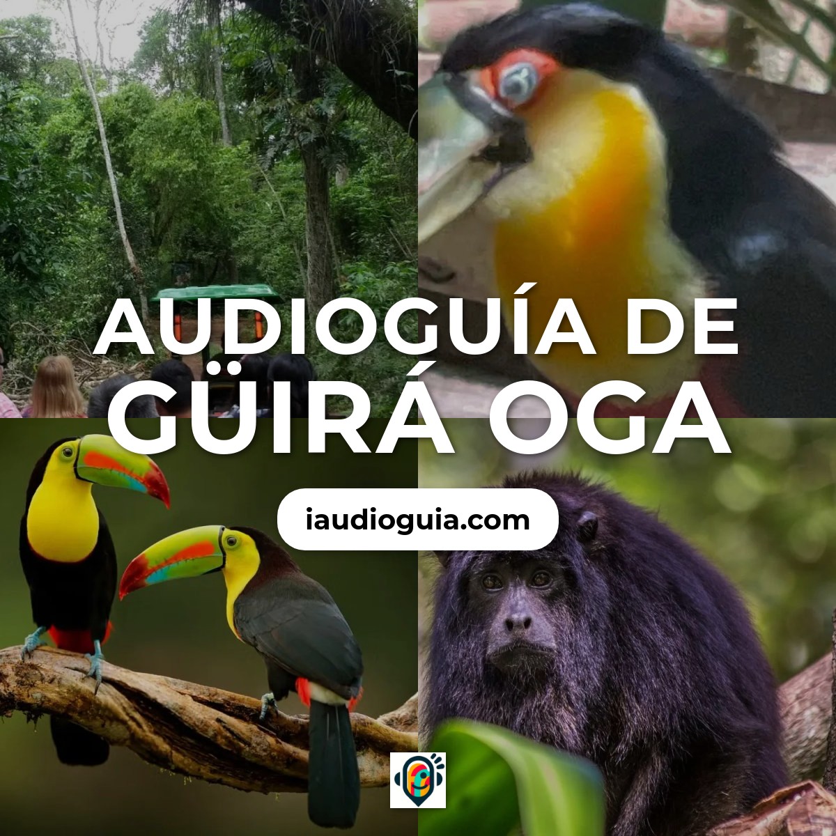 Audioguía de Guira Oga