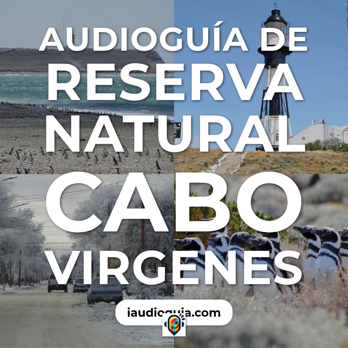 Audioguía de Reserva Natural Cabo Virgenes