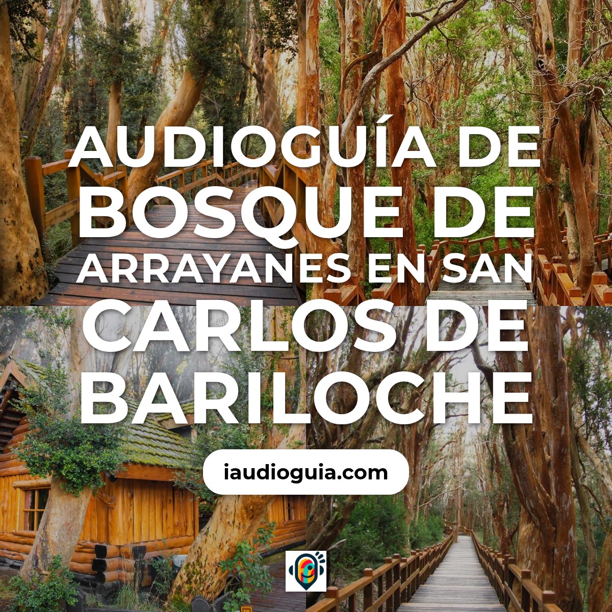 Audioguía de Bosque Arrayanes