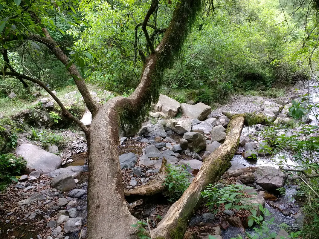 Audioguía de Quebrada San Lorenzo