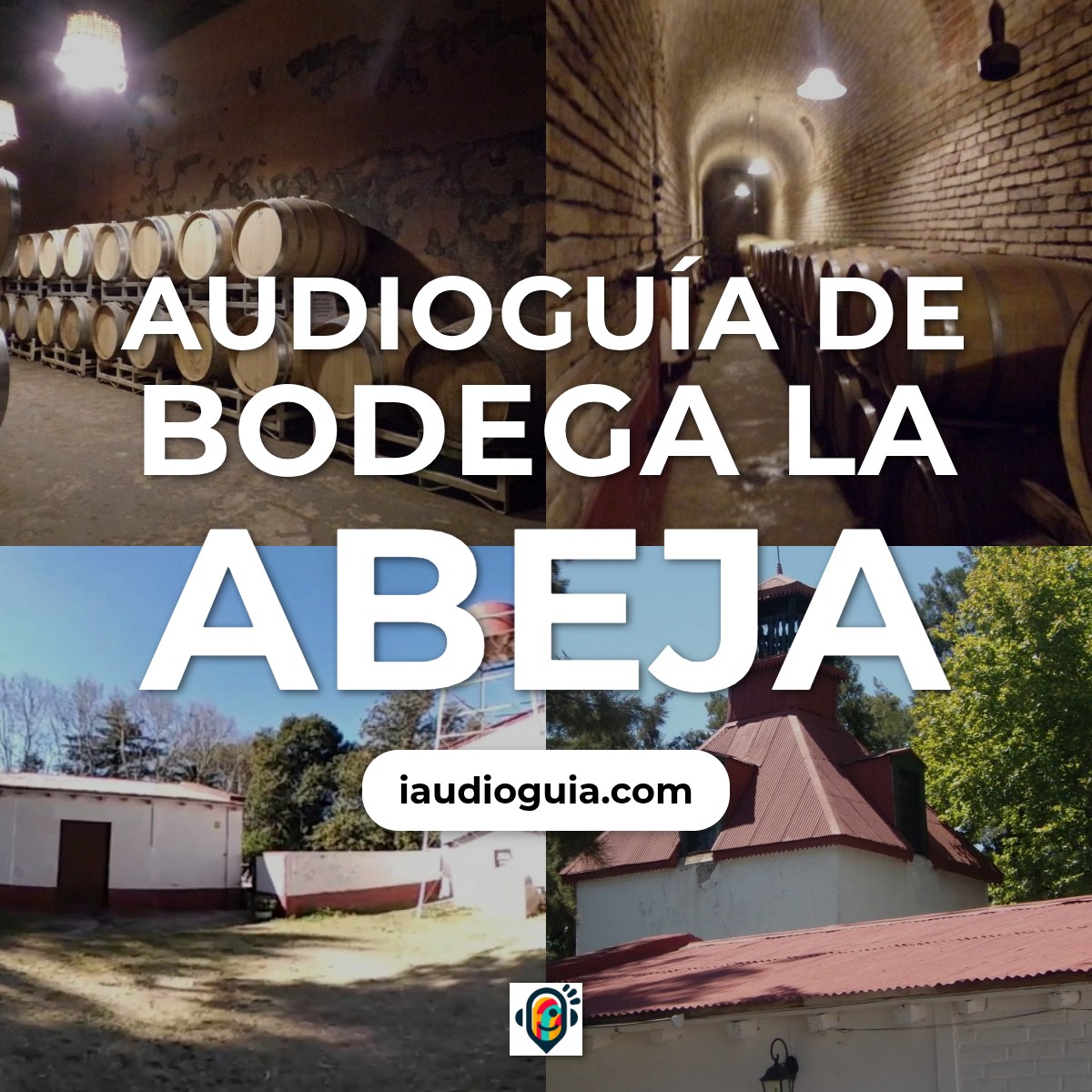 Audioguía de Bodega Abeja