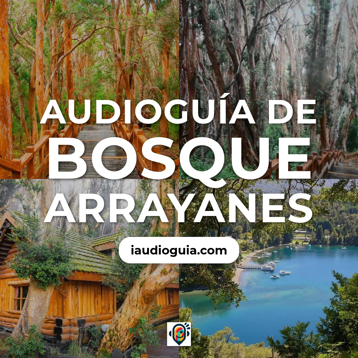 Audioguía de Bosque Arrayanes