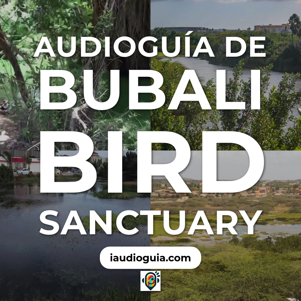Audioguía de Bubali Bird Sanctuary