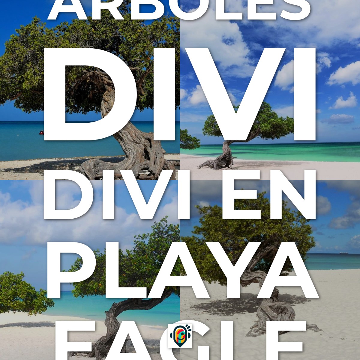 Audioguía de Árboles Divi Divi en Playa Eagle