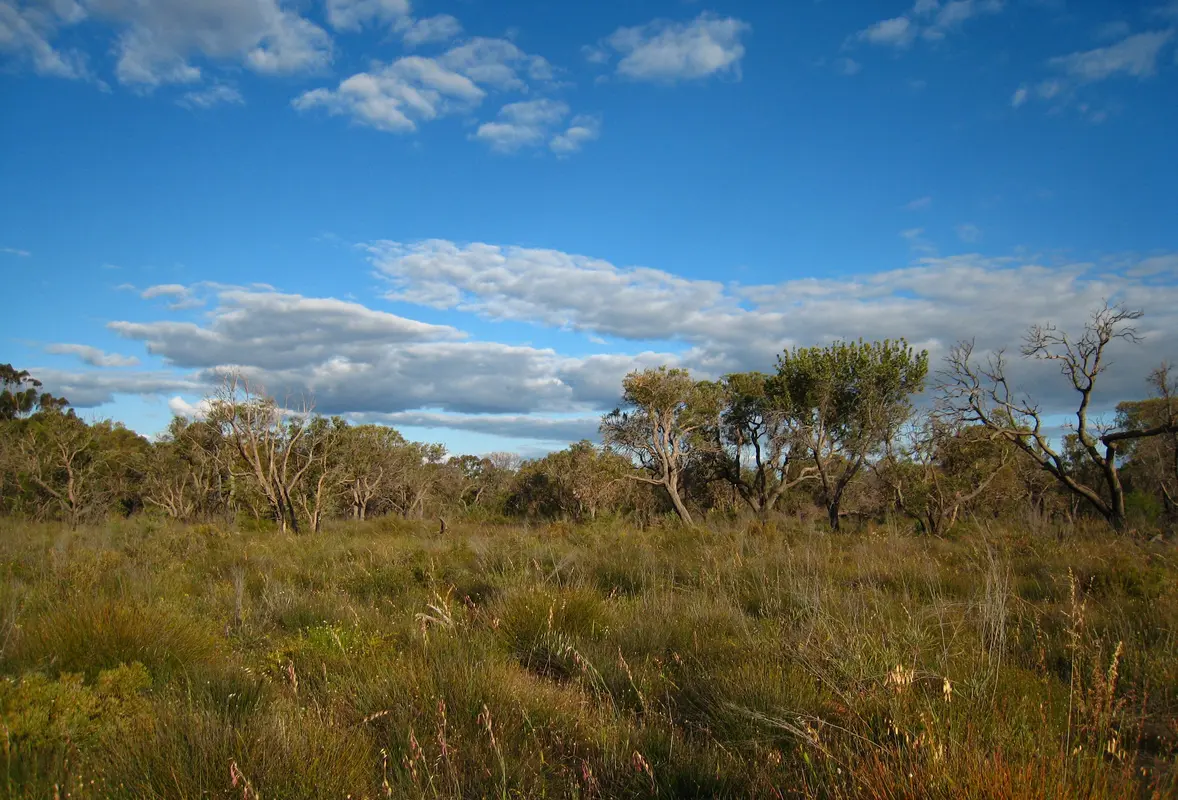 Audioguía de Kensington Bushland Reserve
