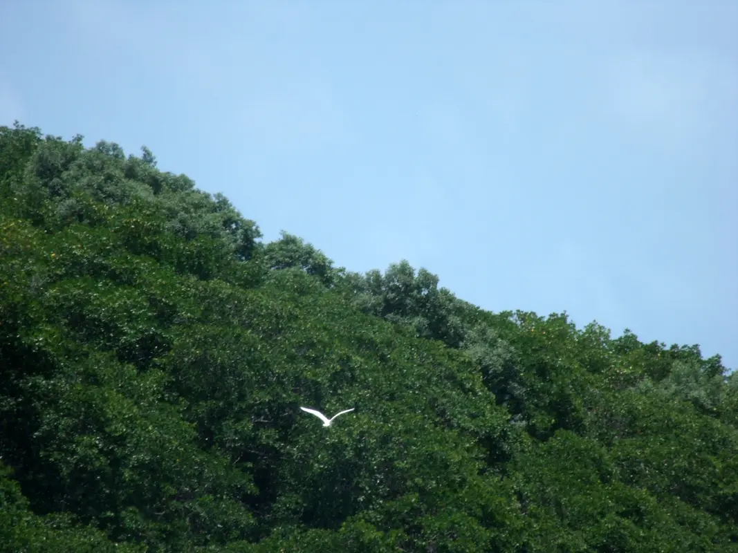 Audioguía de Parque Dos Cajueiros