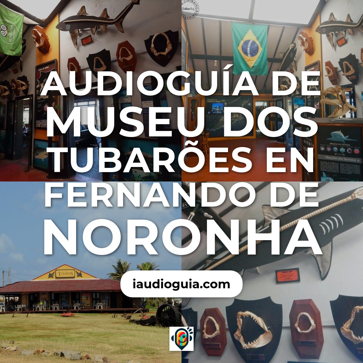 Audioguía de Museu Dos Tubaroes