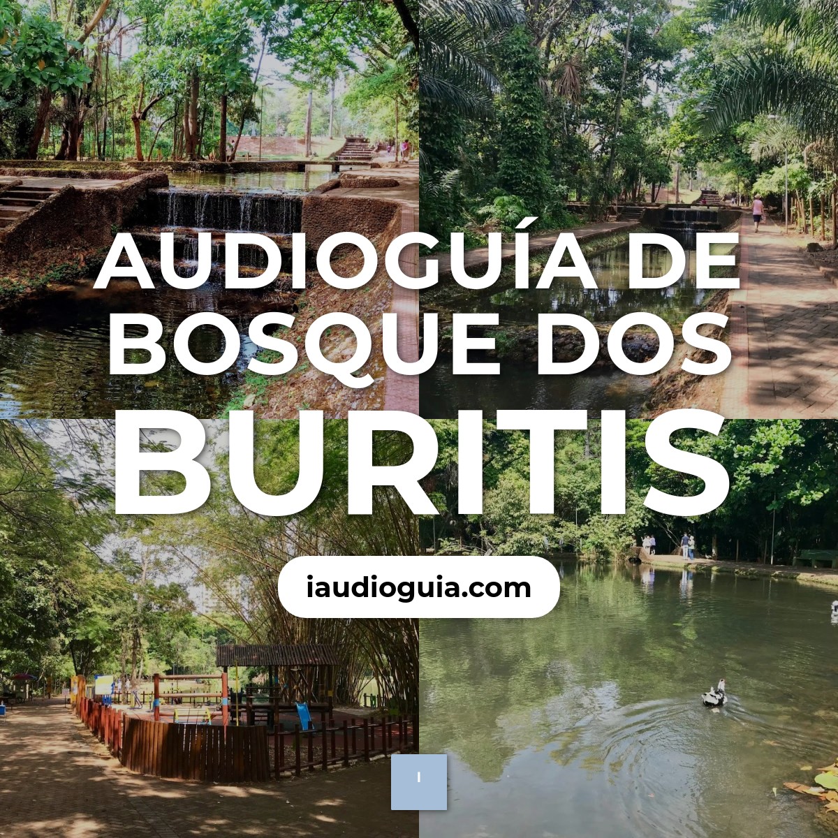 Audioguía de Bosque Dos Buritis