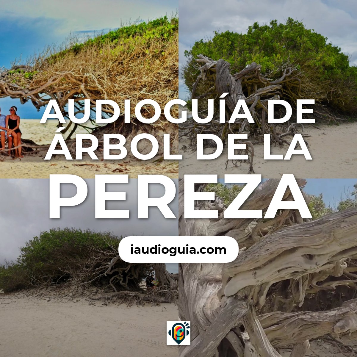 Audioguía de Arvore Da Preguica