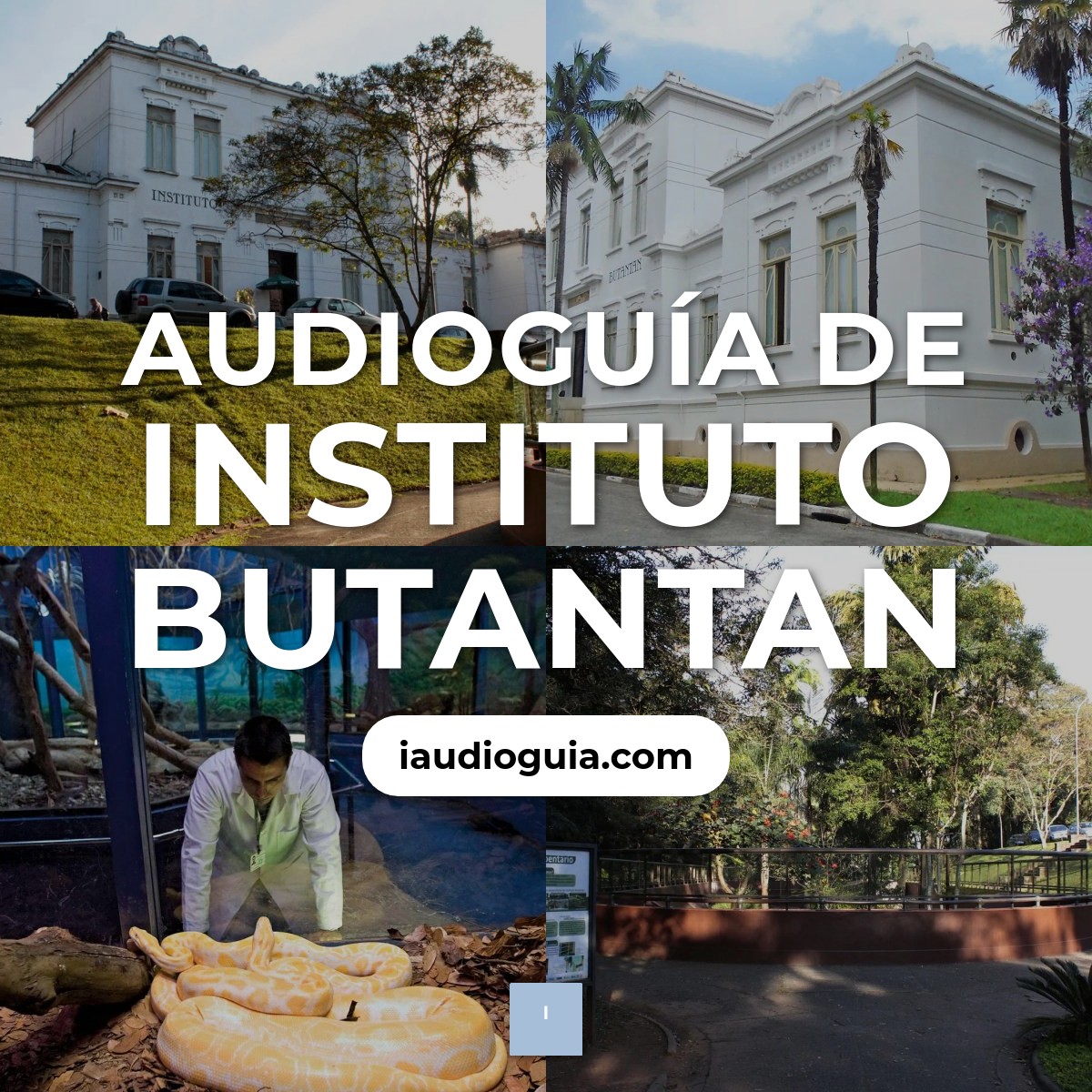 Audioguía de Instituto Butantan